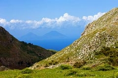 Парк Неброди