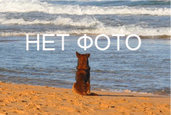 Новости Италии